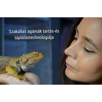 Szakállas agámák tartás-és táplálástechnológiája