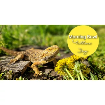 Morning Bowl | Yellow Bag 200 gramm + virágpor