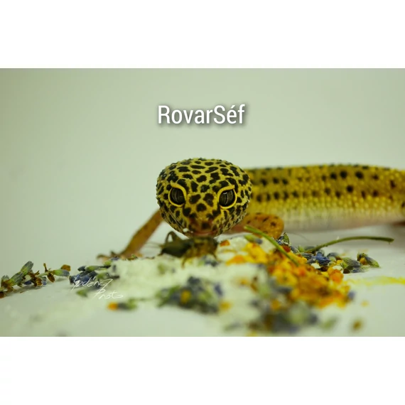 RovarSéf