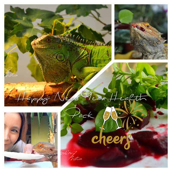 Happy New Year Health Pack| 100 oldal| 4 útmutató