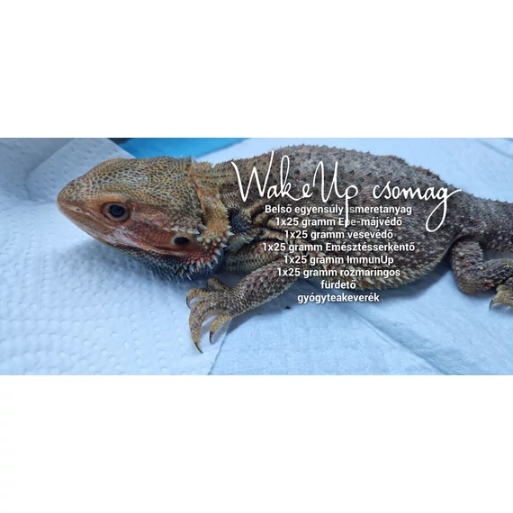 WakeUp csomag